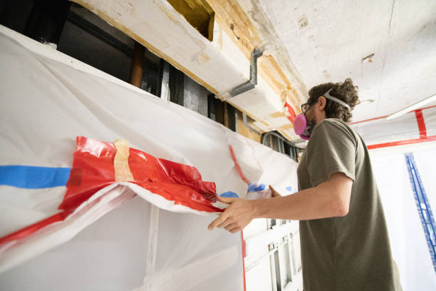 Best Attic Mold Removal  in Easton, PA