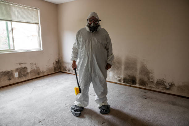 Best Commercial Mold Inspection  in Easton, PA